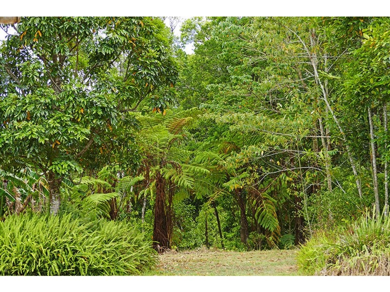 Millaa Millaa QLD 4886