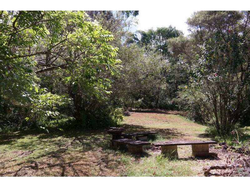 Millaa Millaa QLD 4886