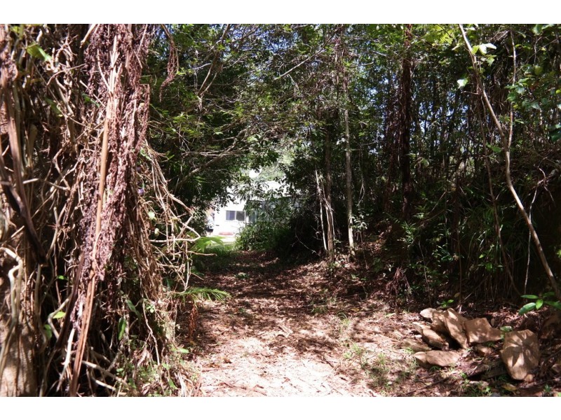 Millaa Millaa QLD 4886