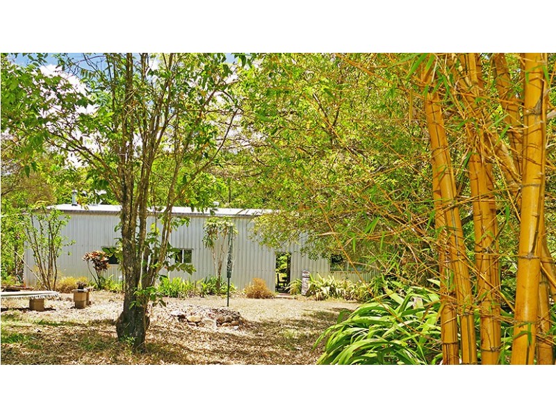 Millaa Millaa QLD 4886
