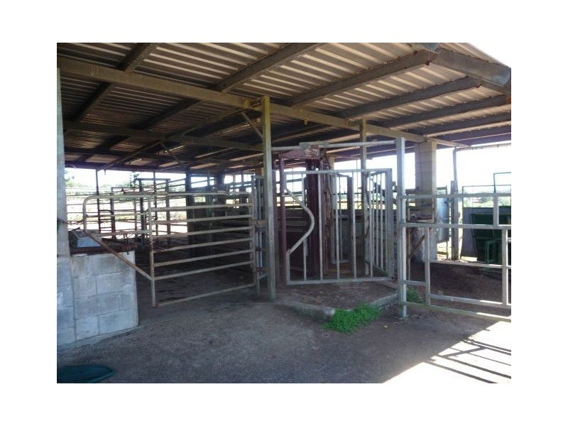 Millaa Millaa QLD 4886