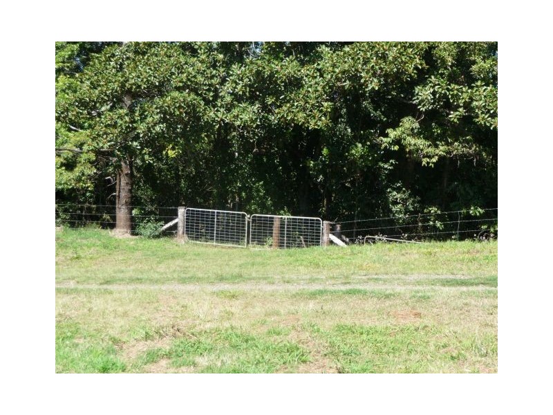 Millaa Millaa QLD 4886