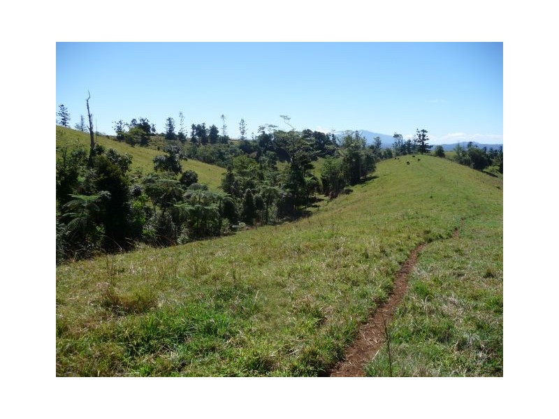 Millaa Millaa QLD 4886