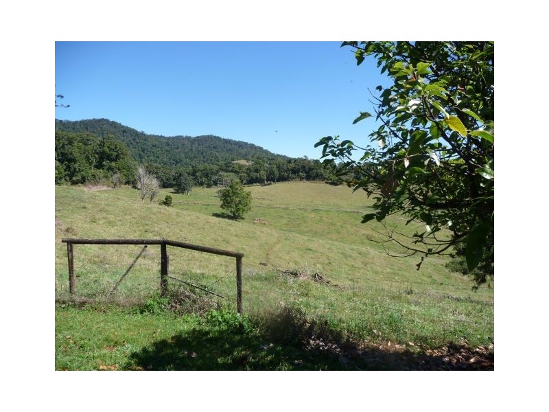 Millaa Millaa QLD 4886