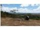 Tarzali QLD 4885