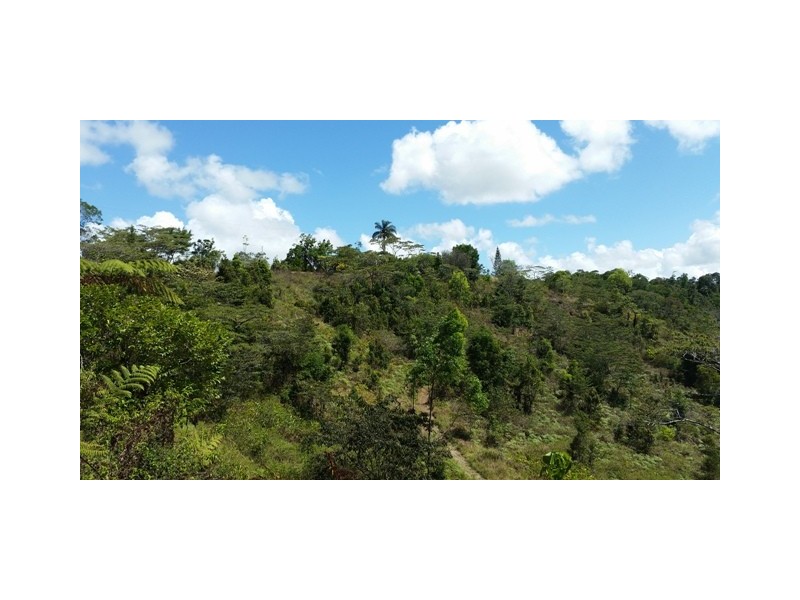 Tarzali QLD 4885