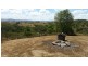 Tarzali QLD 4885