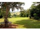 Tarzali QLD 4885