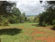 Tarzali QLD 4885
