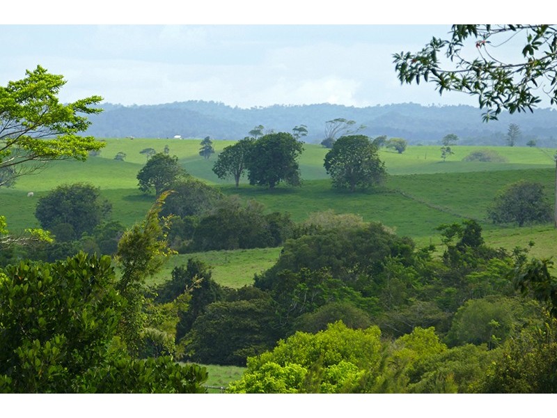 Malanda QLD 4885