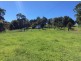 Millaa Millaa QLD 4886