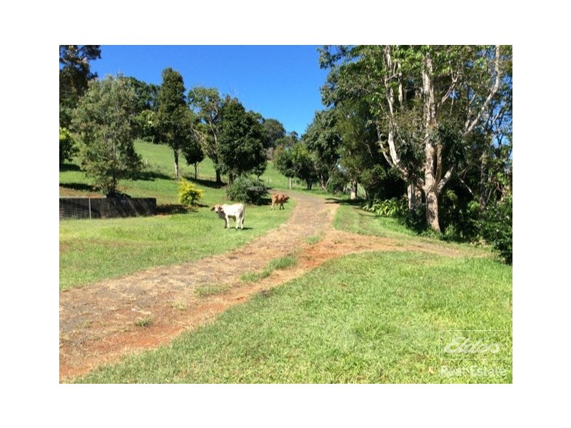 Millaa Millaa QLD 4886