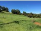 Millaa Millaa QLD 4886