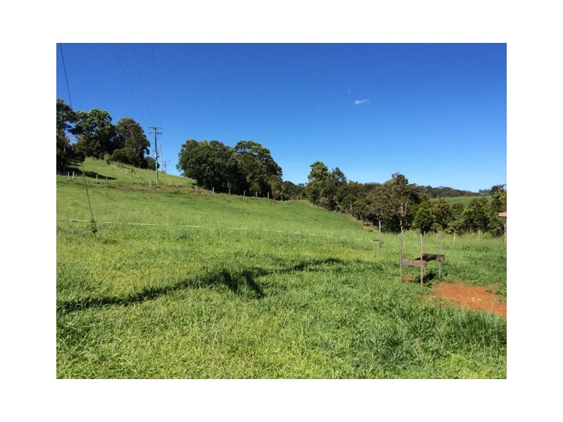 Millaa Millaa QLD 4886