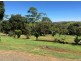 Millaa Millaa QLD 4886