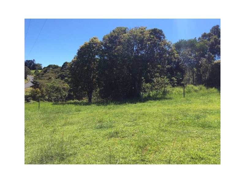 Millaa Millaa QLD 4886