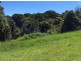 Millaa Millaa QLD 4886