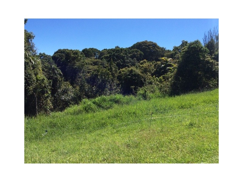 Millaa Millaa QLD 4886