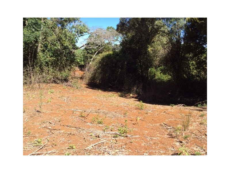 Millaa Millaa QLD 4886