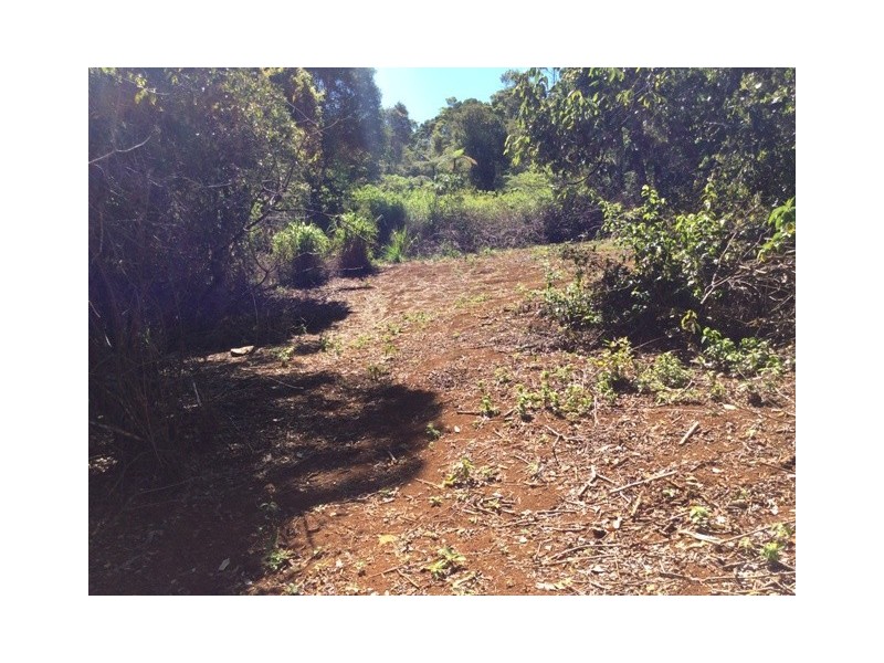 Millaa Millaa QLD 4886