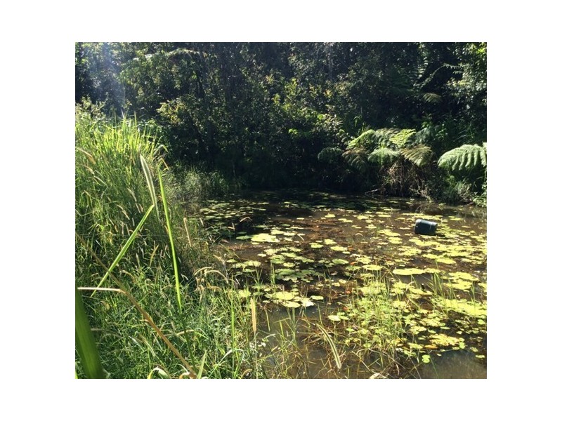 Millaa Millaa QLD 4886