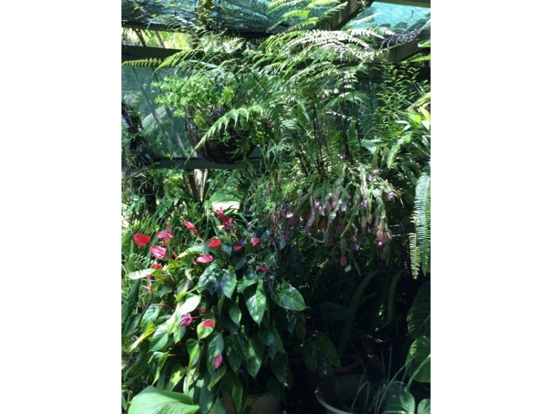 Malanda QLD 4885