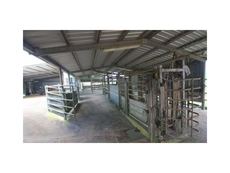 Millaa Millaa QLD 4886