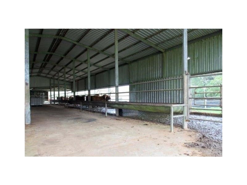 Millaa Millaa QLD 4886