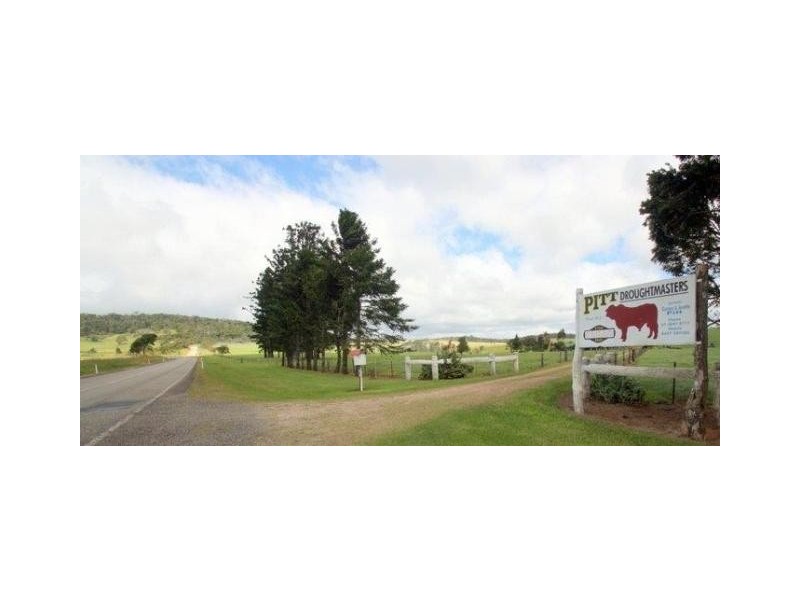 Millaa Millaa QLD 4886