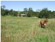 Jaggan QLD 4885