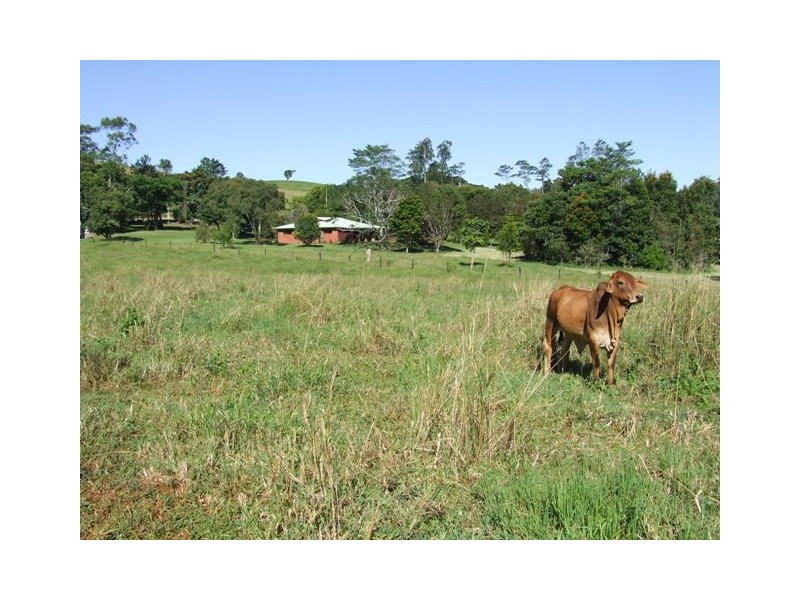 Jaggan QLD 4885