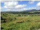Tarzali QLD 4885