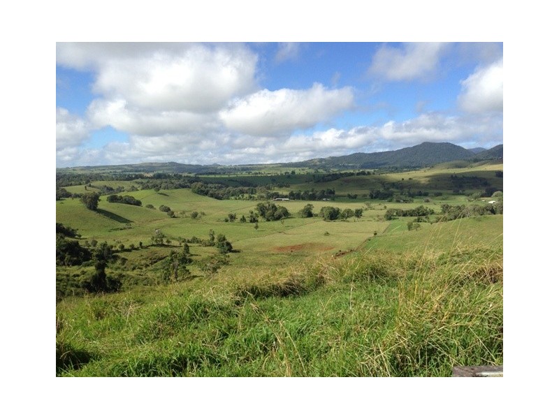 Tarzali QLD 4885