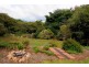 Lake Eacham QLD 4884