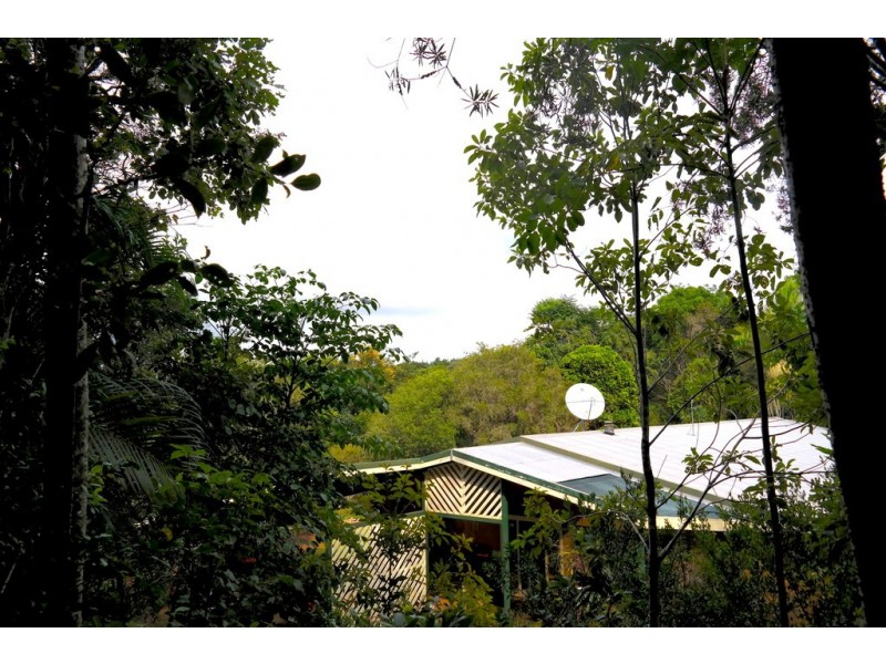 Lake Eacham QLD 4884