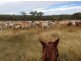 Mount Garnet QLD 4872