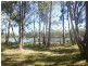 Mount Garnet QLD 4872