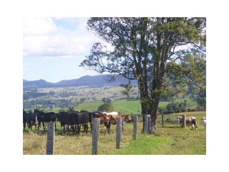 Millaa Millaa QLD 4886