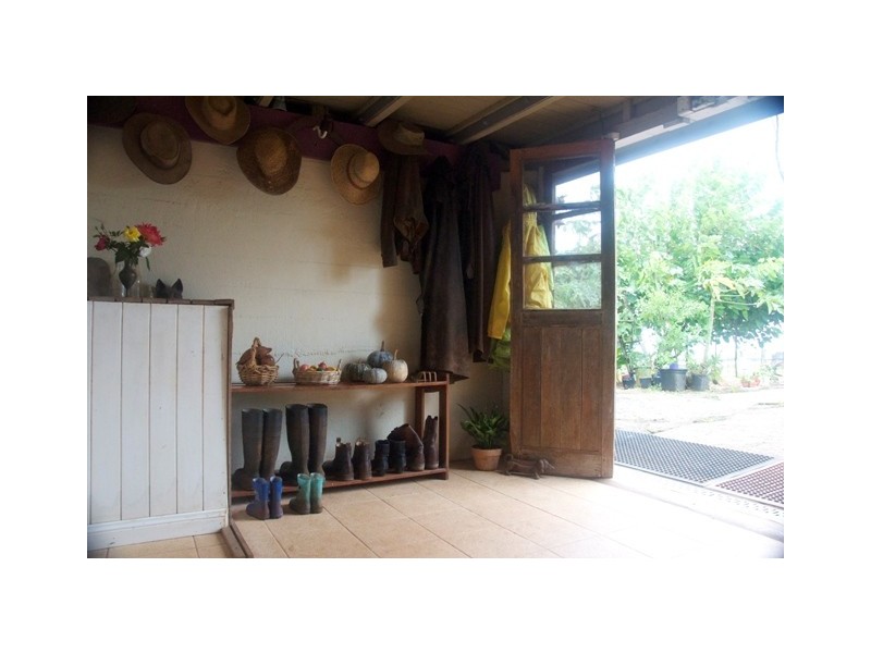 Millaa Millaa QLD 4886