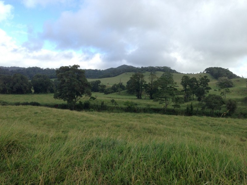 Tarzali QLD 4885