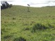 Tarzali QLD 4885
