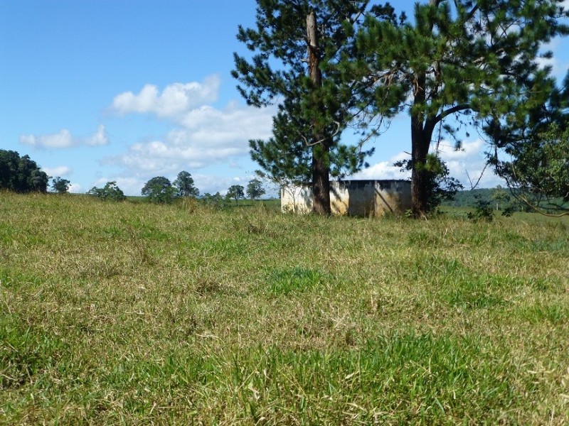 Lake Barrine QLD 4884