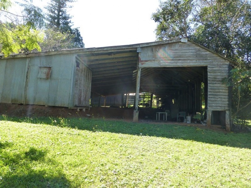 Lake Barrine QLD 4884