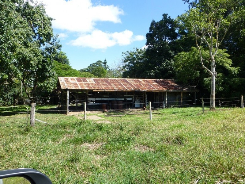 Lake Barrine QLD 4884