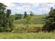 Innisfail QLD 4860