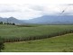 Innisfail QLD 4860