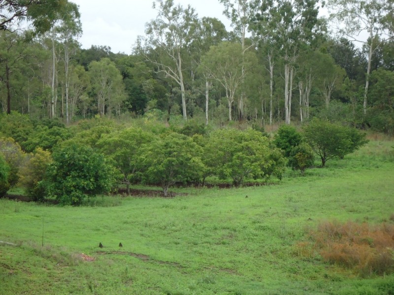 189 Fichera Road, Mareeba QLD 4880