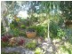 Yungaburra QLD 4884