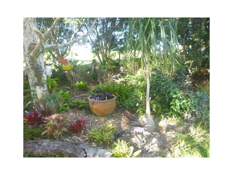 Yungaburra QLD 4884