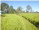 Yungaburra QLD 4884